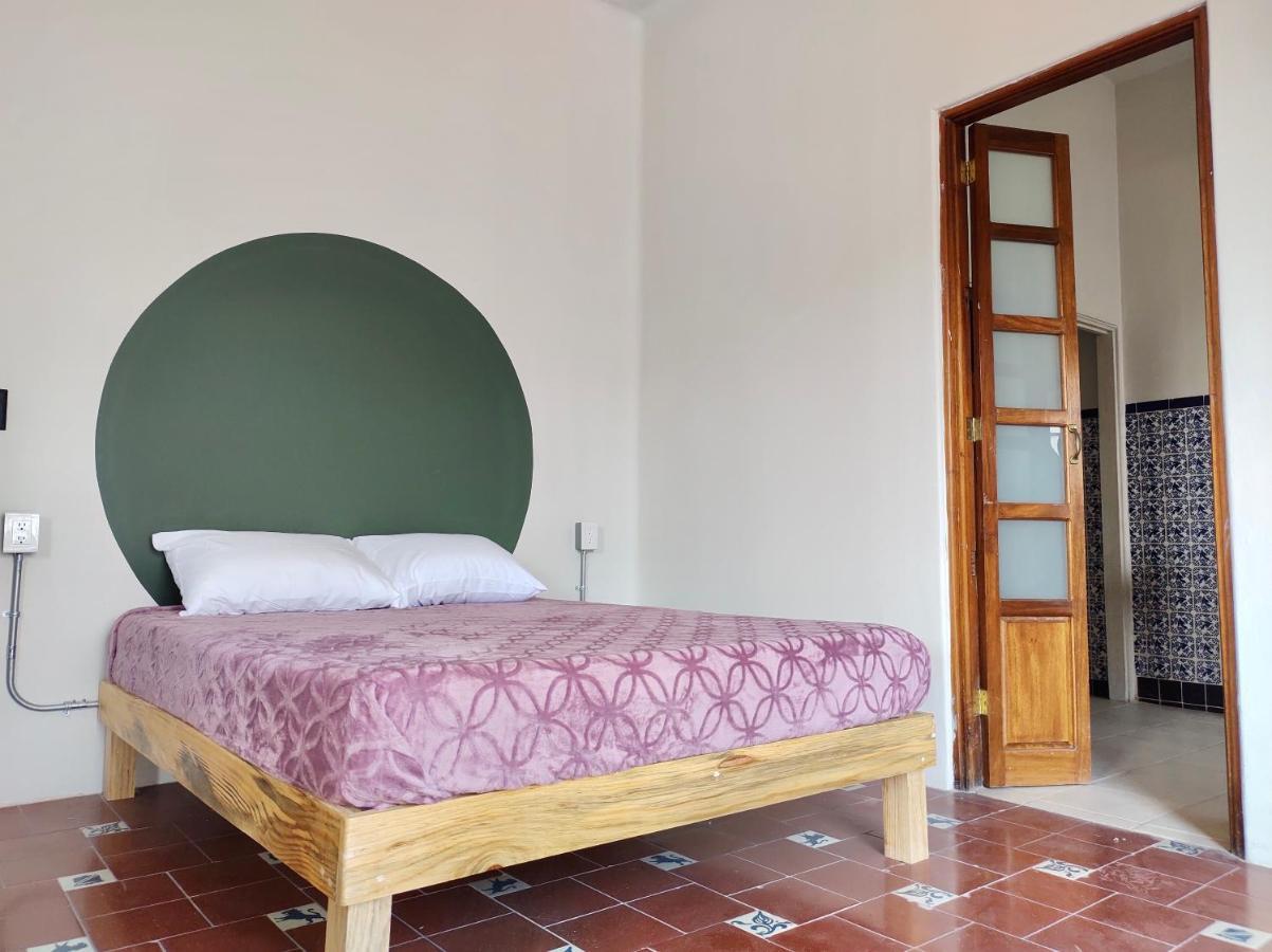 瓜达拉哈拉 Coliving Chingon旅舍 外观 照片